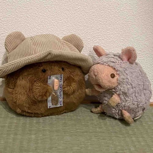 やきおにぎりちゃん、かふんしょうなんだって🤧