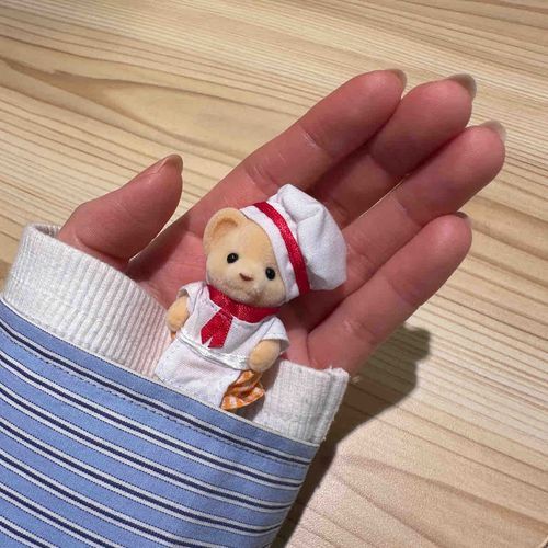 はじめまして
飼い主さん 手があかいー