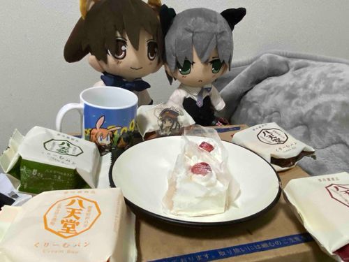 宮藤・サーニャ「私たちの誕生日覚えててくれたんですか？」

と言うわけで、宮藤、サーニャ、服部、誕生日おめでとう！