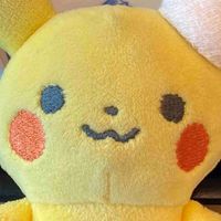 りぼんちゃん