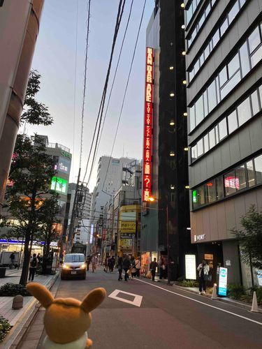今日は、、、、行かないよ、、、
同人誌で破産も家の床が抜けるのも見たくないんだ🥲