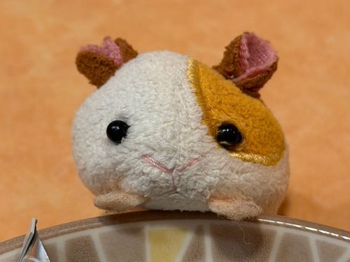 ﾋｻｼﾌﾞﾘ