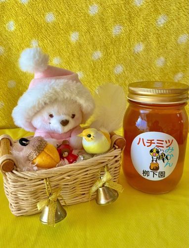 みかんのはちみつ🍯
近所の養蜂屋のおじさんが頑張って採取してくるの、採れたてのはちみつ🍯めちゃくちゃ美味しいの😋🐝