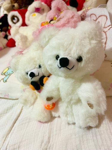 服どうしようかな🐻