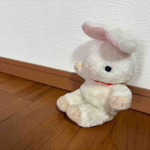 アカウントにはいれなくなったけど、かいはつしゃさんになおしてもらったよ！　かいはつしゃさん、ありがとう！