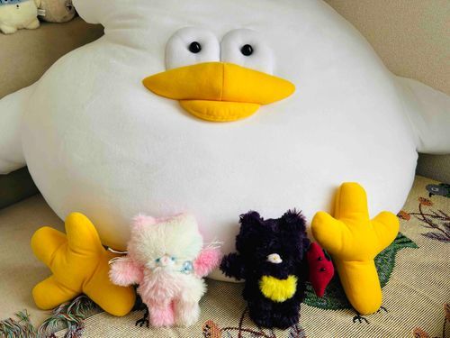 我が家にかわいい子ちゃん二人組が来てくれました。桃みたいな子がタオでさつまいもカラーの子はさつまです。とりもちも興味津々です。どうぞよろしくね( ՞ ᴗ ̫ ᴗ՞)