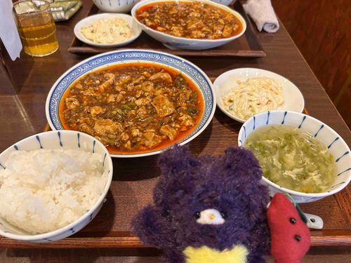 これはお昼に食べたからいもの。家の人はからいものが好きでとくにまーぼーどうふは飲み物だと言って食べています。ぼくは一口だけにしました。