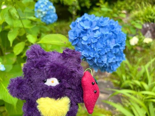 さつまです。きのうは家の人とあじさいを見に行きました！あじさいのお庭はとてもきれいだった！じんわり雨ふりの日だったけどあじさいを見るのにはいい日だったな〜🌧️家の人は今度、あじさいとしゃくやくを買いにいくって言ってました。