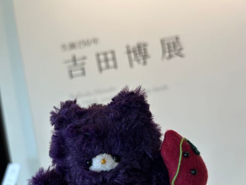 おひさしぶりです。さつまです。
家の人と絵をみにいきました！
ふうけいがたくさんえがかれていて、とてもきれいな色の山がたくさん見れました。ぼくの好きな絵は朝のふねの絵かなぁ。またみたいです。