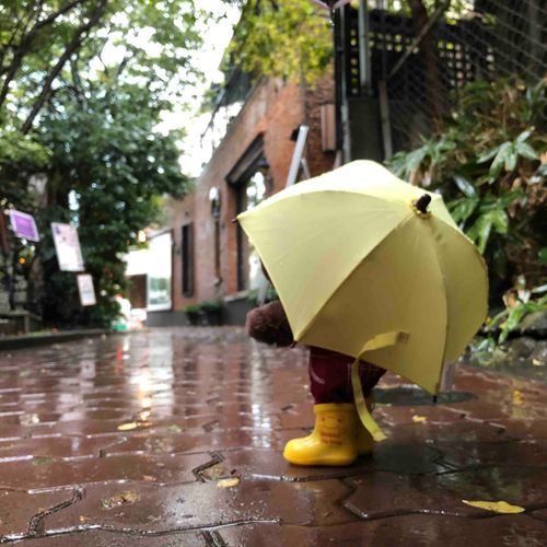 あめのひ、お気に入りの傘と長靴でお散歩。
誰もいない、静かな雨の道