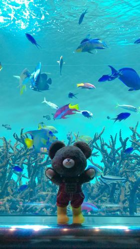 水族園行って来たよ！