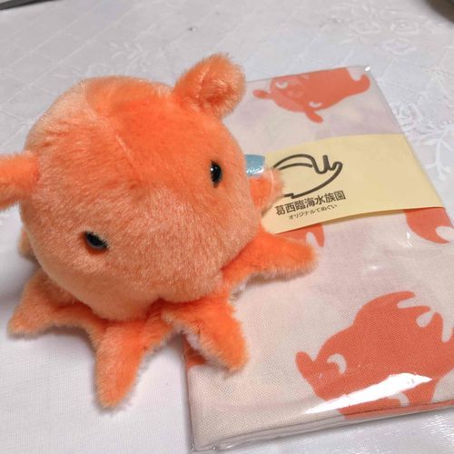 新顔のメンダコめんちゃんとメンダコ柄手ぬぐい