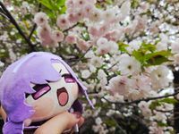 ぬ