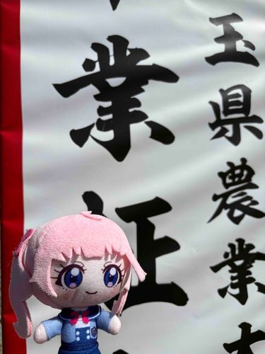 晴れ着姿の貴重な持ち主さんが
見れちゃった〜！
改めて、卒業おめでとうだよ〜