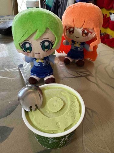 これ、うちの髪と同じ色してるで！

ただの抹茶のフレーバーですよ。
早めに食べましょう。