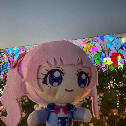 白いバラって見たことないかも
しれないから、おしゃれ〜