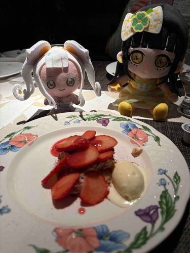 後に提供される甘味も、また
絶品であることを忘れてはならぬ。
最後まで堪能するのじゃ。

イチゴのきりかた、きれい〜