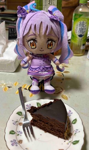 親族の方の誕生日が近いので、
特別にチョコレートケーキを
いただいてきましたよ〜