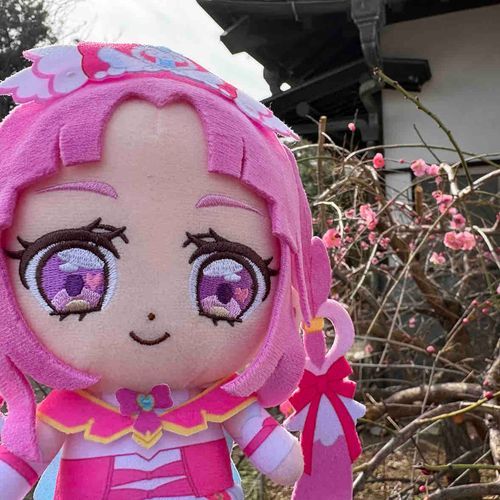 庭にずっと前からあるらしい
梅の花がキュートに咲いたよ！