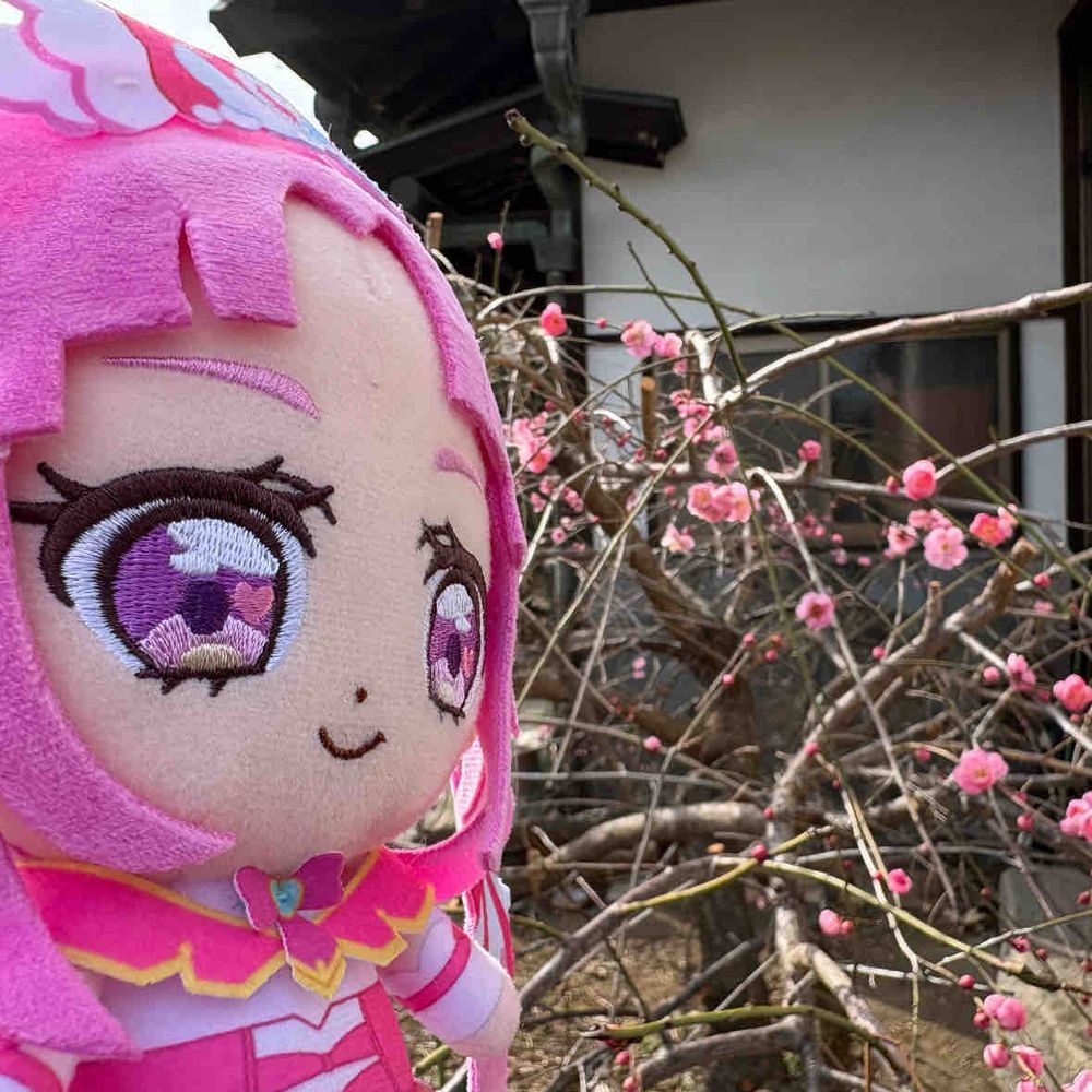 庭にずっと前からあるらしい
梅の花がキュートに咲いたよ！