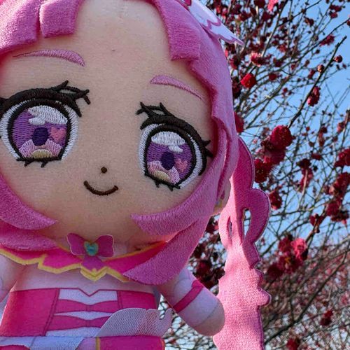 西の山あいの梅林だけど、
気になるし、遠出してでも
見たいから来ちゃったの！
これはっ…   まさに満開‼︎