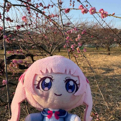 ふぇ〜！　わたしの髪色と
似ている梅の花を見つけたよ〜
近づくと、いい匂いがする〜