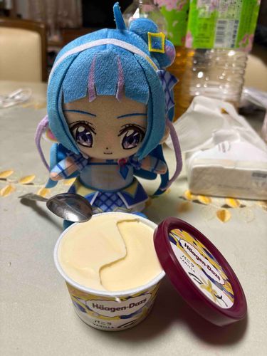 濃厚で硬すぎない食感だね！
アルカナちゃんが気に入ってる
理由が分かったかもしれないね。
