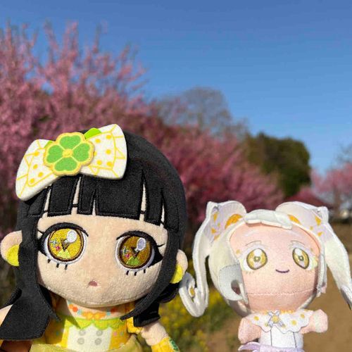 リングちゃんと、いっしょに、
もものはなまつり、いってきた〜
このこうえん、きたの、はじめて。
だけど、きれいでかんどうした！
ゆうひが、かがやいてみえた。