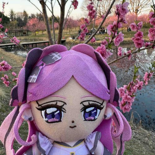 桃の花まつりは私も初めて
観に行ったの。　桜の花びらに
似ているけれど、別物みたいね。