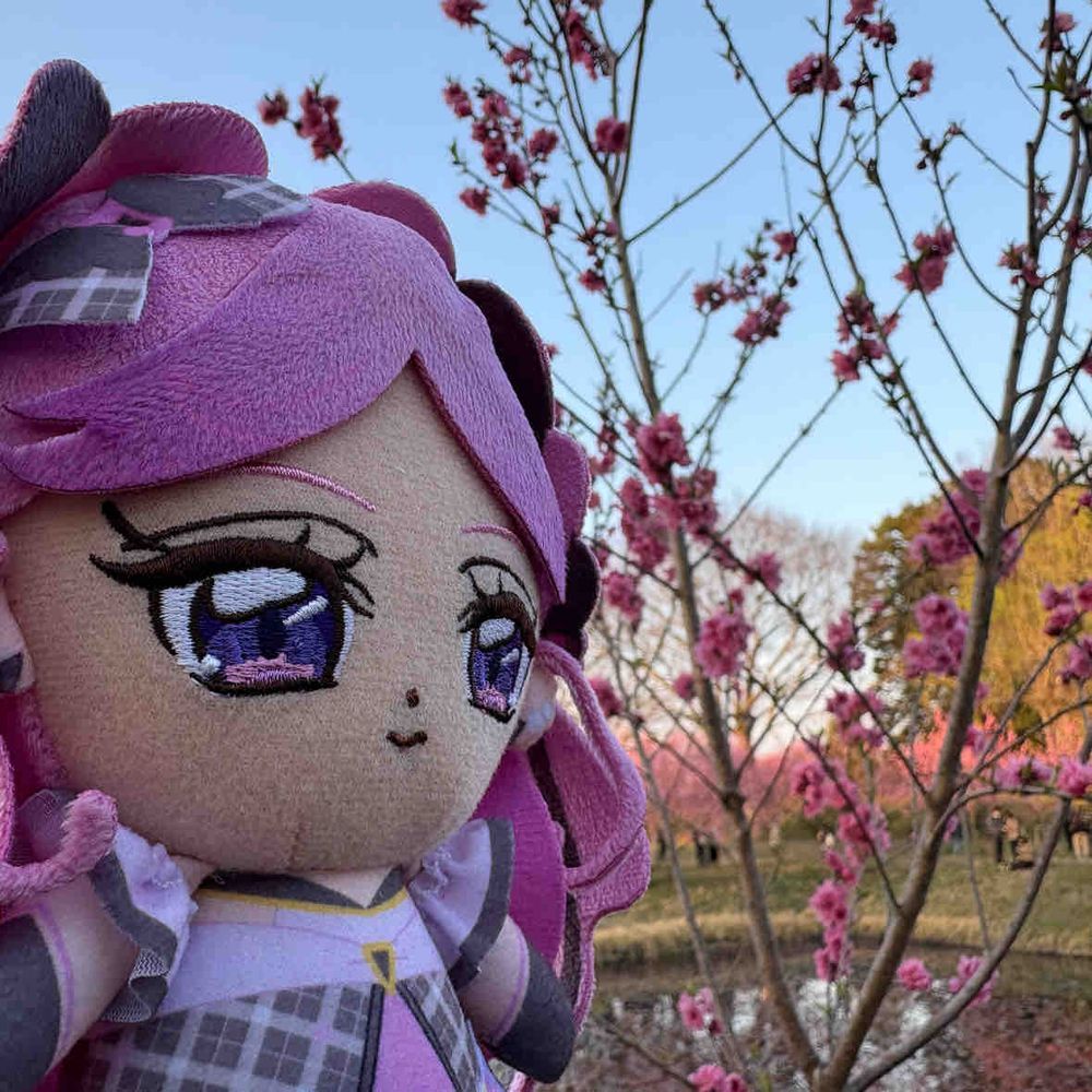 桃の花まつりは私も初めて
観に行ったの。　桜の花びらに
似ているけれど、別物みたいね。
