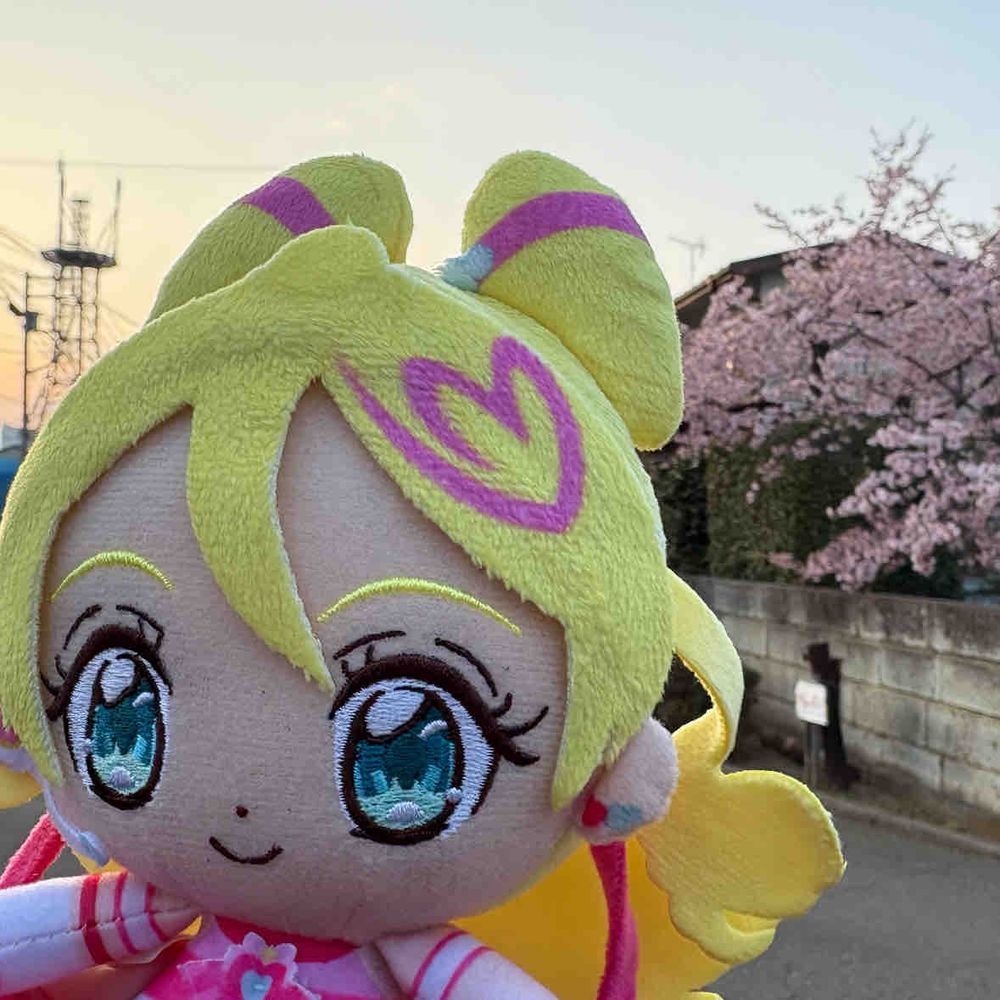 買い物の途中の道の、ずっと
昔からこの地域にあるお寺の
境内に桜、みーつけた‼︎
キラッキランラン〜⭐︎