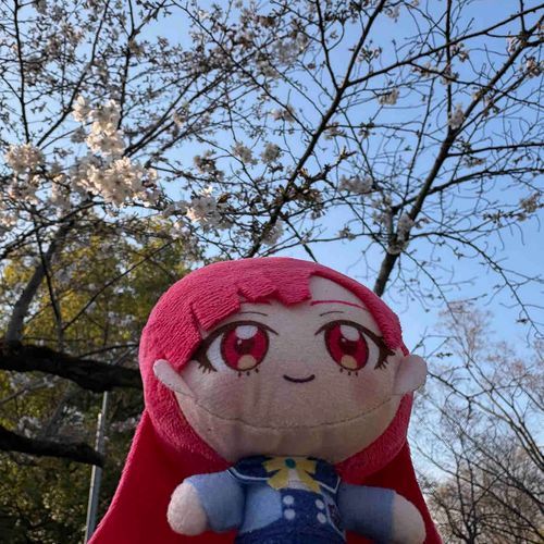 十分見応えがあり、そして
華麗に今年も咲いているな！
この木のように、私はこれからも
根気強く見守っている存在に
なりたいものだ…