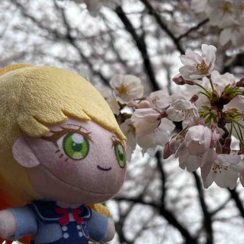 地面に近い枝にある花びらに
囲まれてるから、バズ魅せ
って感じしな〜い？