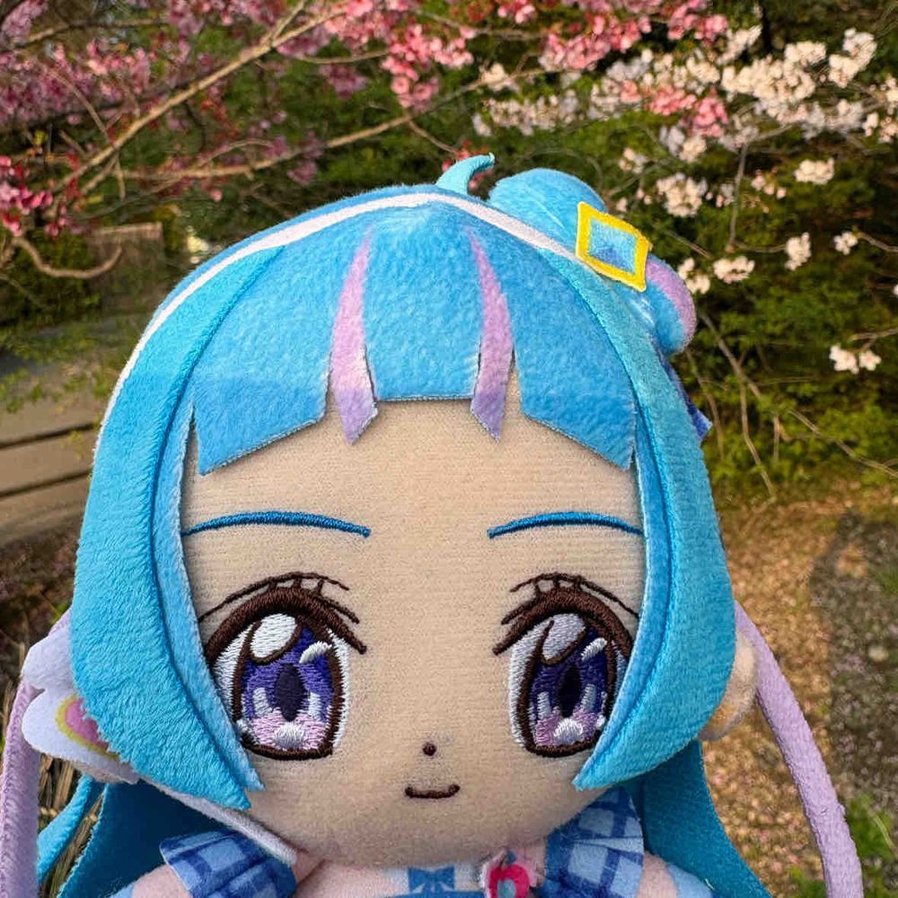 キャンプ場がある公園にも、
駐車場の近くに桜、咲いてたよ！
白っぽいのも、思いっきりピンク
な花びらも、きれいだったね。