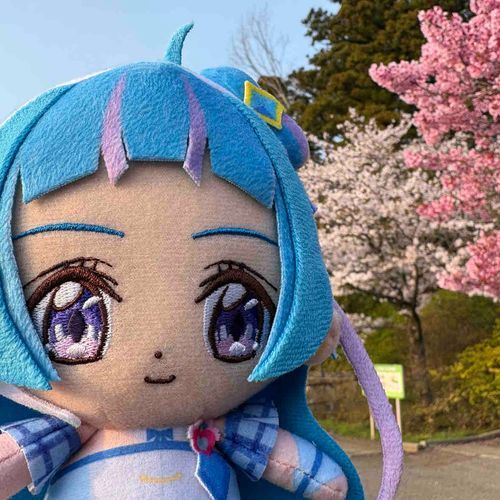 キャンプ場がある公園にも、
駐車場の近くに桜、咲いてたよ！
白っぽいのも、思いっきりピンク
な花びらも、きれいだったね。