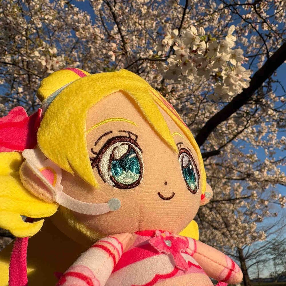 風が強かったから、花びらが
散るその瞬間に、なんとかこっちの
公園にも行けたよ〜
日が暮れる前に見れたねっ！