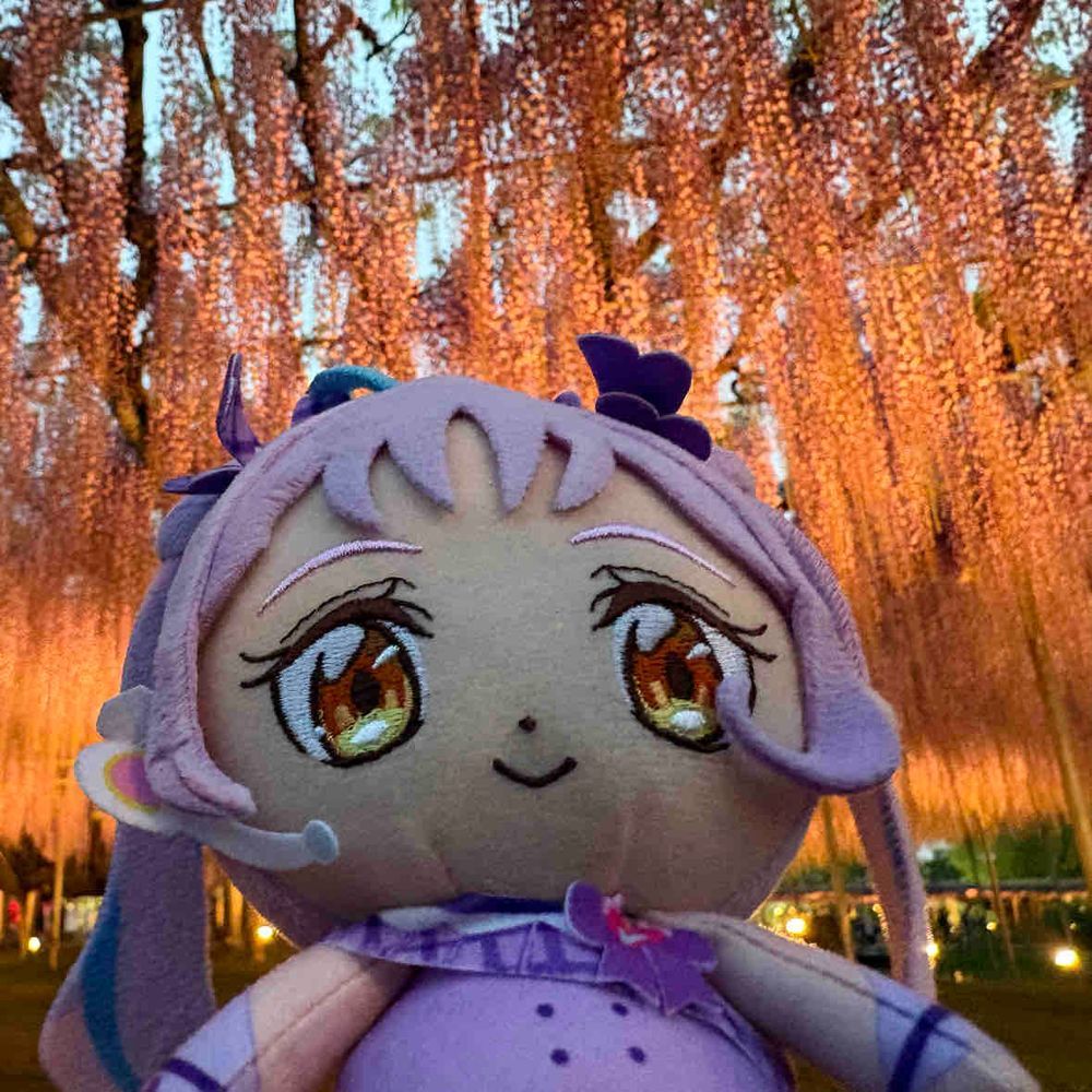 ちょうど藤の花が見頃ですね！
辺り一面が全て藤色のところも
ありました！！　これは…
キュンキュンしまくりですね。