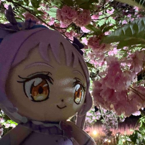 他にもさまざまな草花が
あったり、夜になるとまた違った
景色になるので、正直なところ
あまり飽きが来なかったですっ！