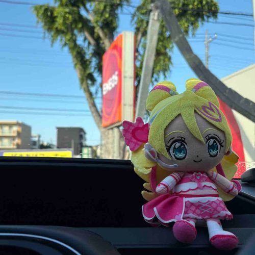 車のボディも、気分も
キラッキランラン〜☆ だね!
あ、でも水気を拭き取るとこが
ちょっと体力を使うんだよね…