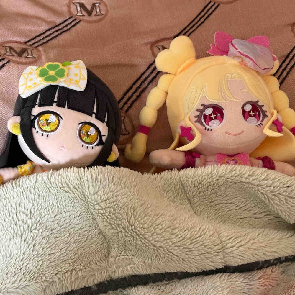 わたし、好実(このみ)いのり！
持ち主の家に新しく来たんだ！
この家の住民、つむぎちゃんが、
ふっかふかの寝心地を教えて
くれたよ〜