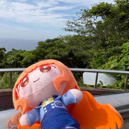 岬に近い公園にもみつきさん
含めた私たちが行ってきましたが、
廃れているのかと誤解するほど
人気がなかったです… 帰りの
際のグルメは美味でした。