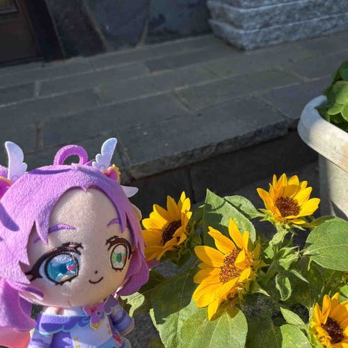 花壇にいつの間にか咲いてる
季節の風物詩のもの、見つけたっ!
…ちょっと小さめ…?