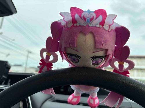 ハンドルを持った感覚って
難しいけど、がっちり系に近い…
でも、ただ掴まってるとあまり
意味がない気がするの〜
