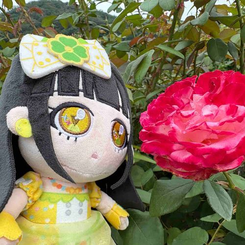 まえいったとき、ふじのはな。
こんかい、バラ、みごろだった〜
あと、ここにあるソフトクリーム、
イチゴのようそ、おおめ。