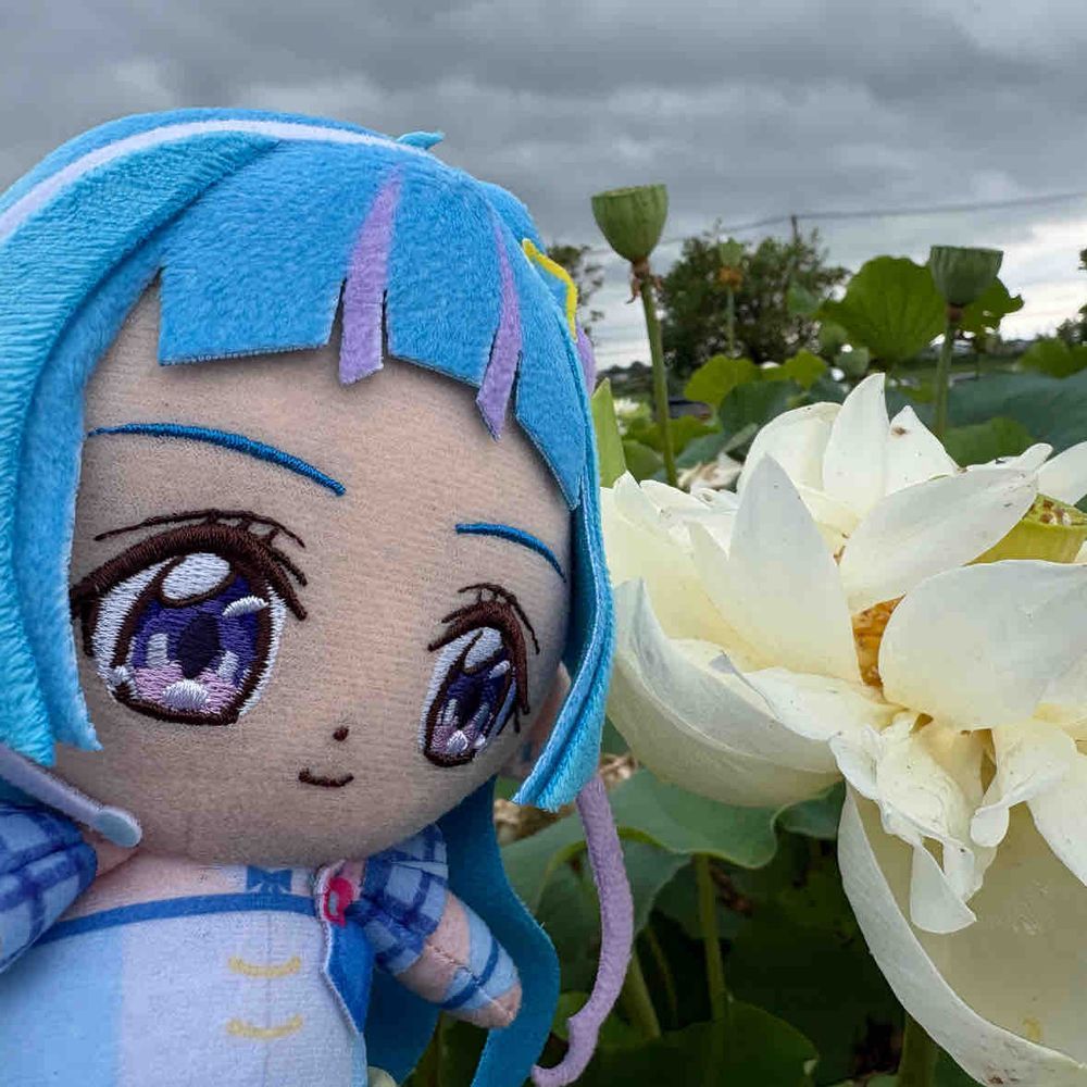 降らない短時間の隙に、蓮池が
ある公園を散策してきたよ。
水を弾いてる構造に感心したけど
もう少し戻るのが遅かったら、
濡れちゃってたね…