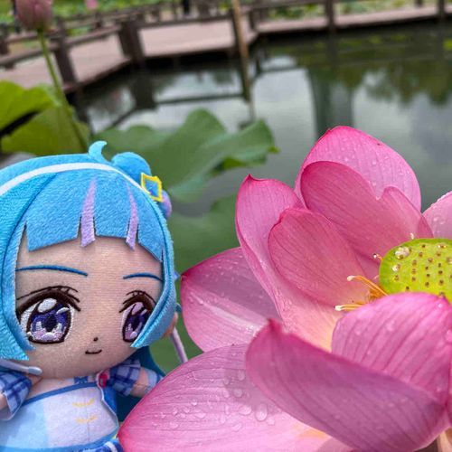 降らない短時間の隙に、蓮池が
ある公園を散策してきたよ。
水を弾いてる構造に感心したけど
もう少し戻るのが遅かったら、
濡れちゃってたね…