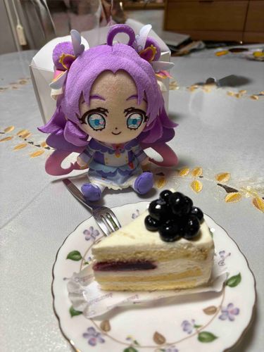 多分ないと思ってたけど…
買ってきてくれたんだね…！
好みのブルーベリーがついた
チーズケーキ、はなまる嬉しいっ！
