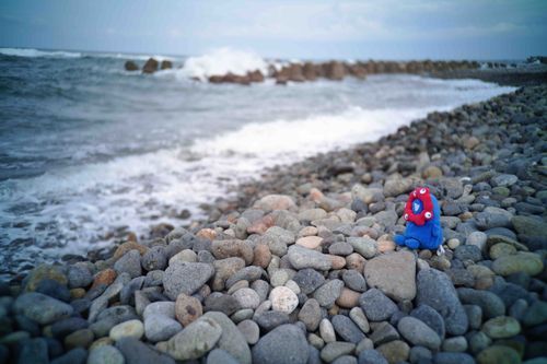 別の日に海の石のごろごろもみにいきました。石ばかり。