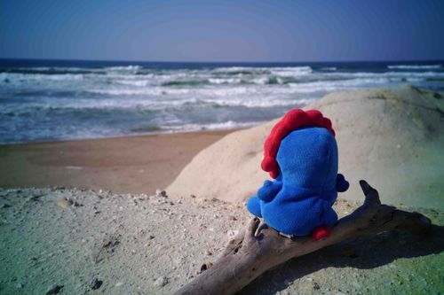 なみのたかいたかいはるの海でした。