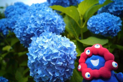 もりもりのあおいろ　くもりの空でしたけどはれのようにあおいろです